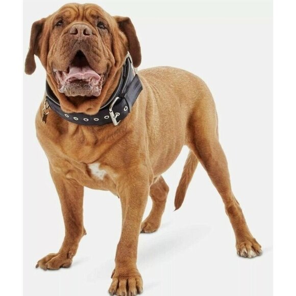 Good2go BLACK Dog Collar for Big Dogs, XXL/XXXL 90-140 LBS, NEW *FAST SHIPPING* - Picture 1 of 4